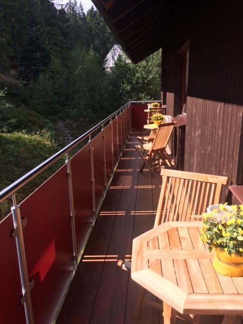 Schlesierhaus Apartment Dachsberg im Schwarzwald Exterior photo