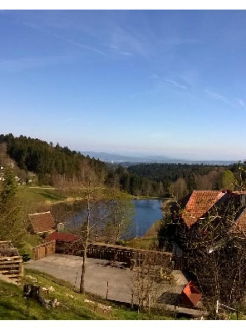Schlesierhaus Apartment Dachsberg im Schwarzwald Exterior photo