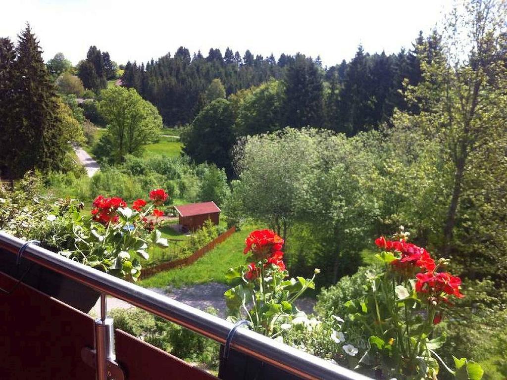Schlesierhaus Apartment Dachsberg im Schwarzwald Exterior photo